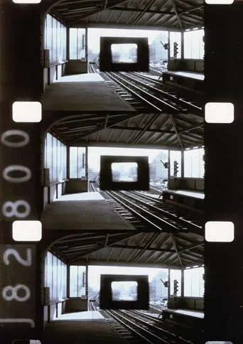 Diminished Frame movie poster - Entertainment content