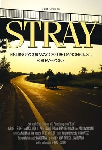 Stray movie poster - Rated 5/10