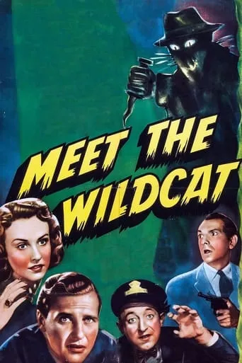 Meet the Wildcat movie poster - Entertainment content