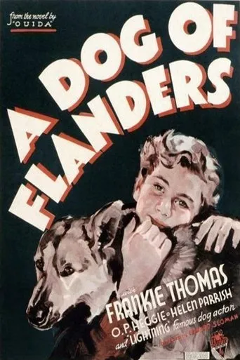 A Dog of Flanders movie poster - Rated 7/10