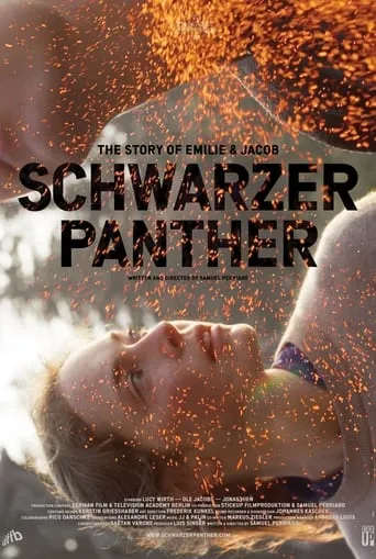 Black Panther movie poster - Rated 6.167/10