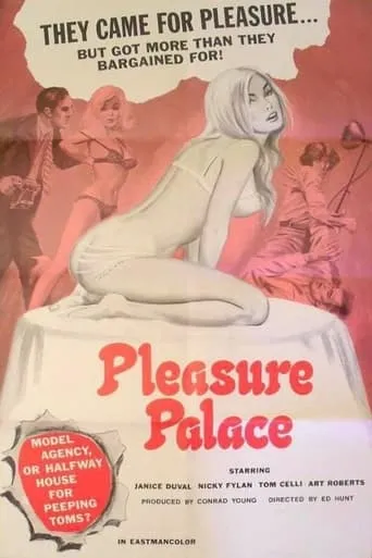 Pleasure Palace movie poster - Rated 4/10