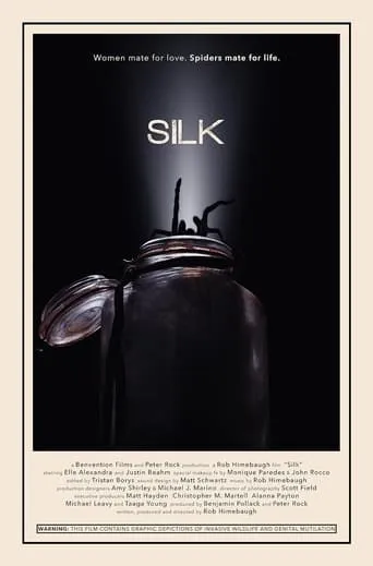 Silk movie poster - Rated 4/10