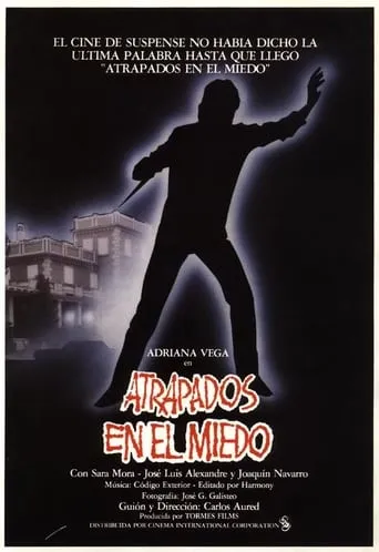 Caught in Fear movie poster - Rated 4/10