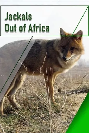 Jackals - Out of Africa movie poster - Entertainment content