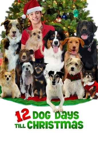 12 Dog Days Till Christmas movie poster - Rated 5.2/10