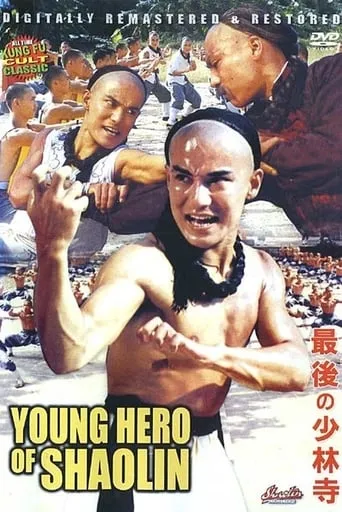The Young Hero of Shaolin movie poster - Rated 6/10