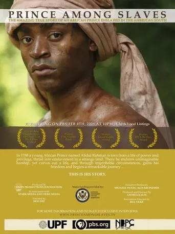 Prince Among Slaves movie poster - Rated 6/10