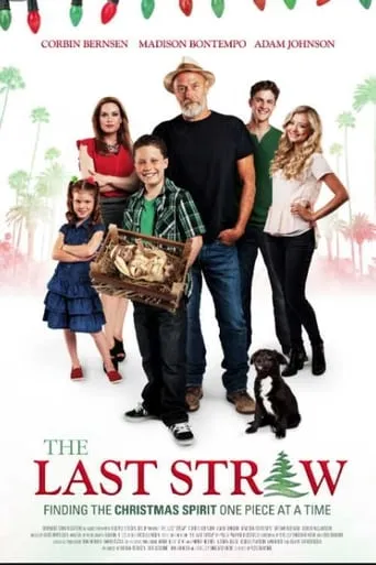 The Last Straw movie poster - Rated 2/10