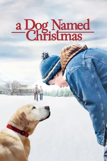 A Dog Named Christmas movie poster - Rated 7/10