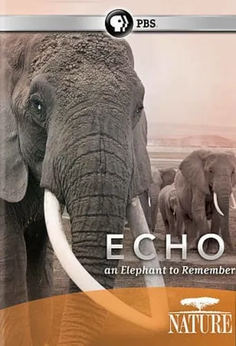 Echo: An Elephant to Remember movie poster - Rated 8/10