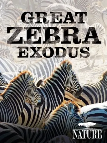 Nature: Great Zebra Exodus movie poster - Rated 5/10