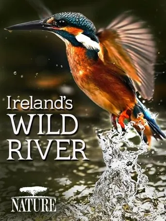 Ireland's Wild River movie poster - Rated 8/10