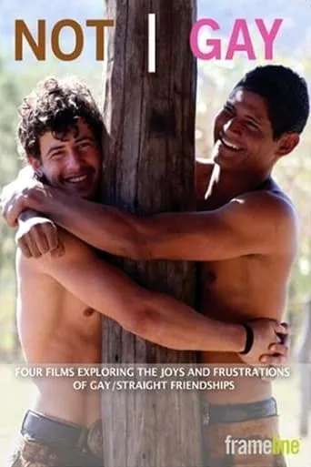 Not Gay movie poster - Rated 6/10