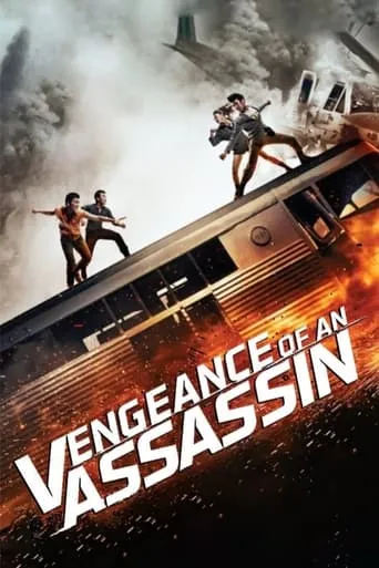 Vengeance of an Assassin movie poster - Rated 6.4/10