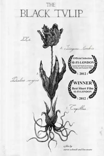The Black Tulip movie poster - Entertainment content