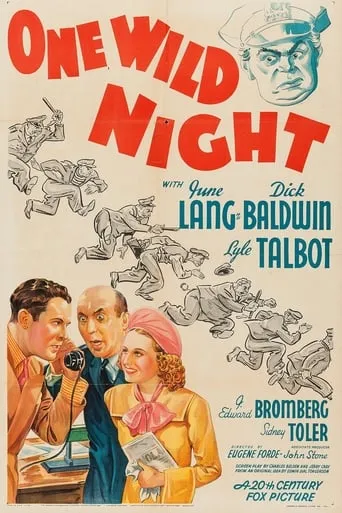 One Wild Night movie poster - Rated 5.5/10