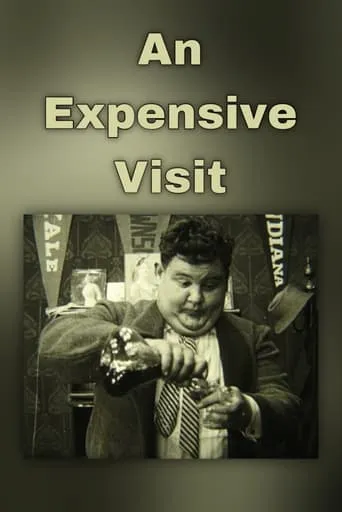 An Expensive Visit movie poster - Rated 6/10