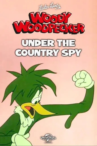 Under the Counter Spy movie poster - Rated 7.2/10