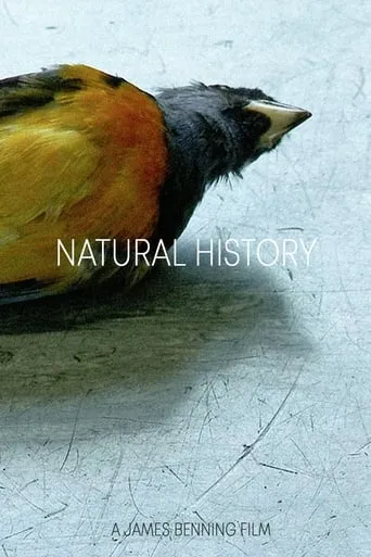 Natural History movie poster - Rated 5.4/10