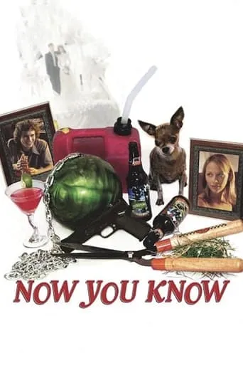 Now You Know movie poster - Rated 4.8/10