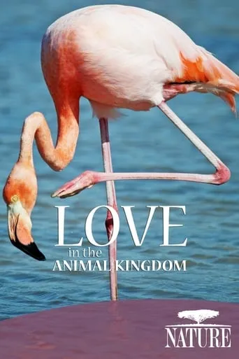 Nature: Love in the Animal Kingdom movie poster - Rated 9.5/10