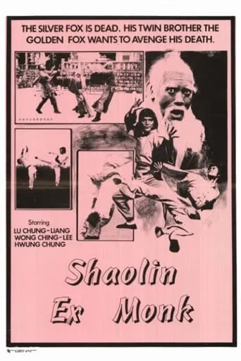 Shaolin Ex-Monk movie poster - Rated 6/10