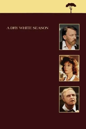 A Dry White Season movie poster - Rated 6.665/10