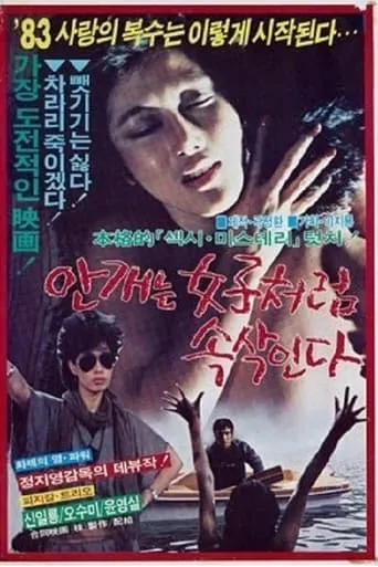 Mist Whispers Like a Woman movie poster - Entertainment content