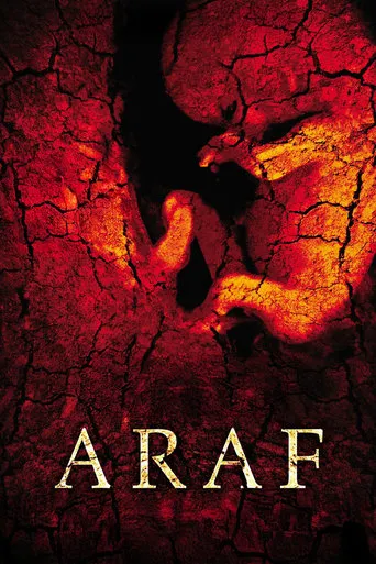 Araf movie poster - Rated 3.1/10