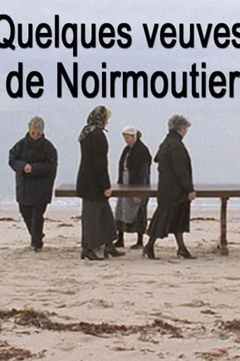 Some Widows of Noirmoutier movie poster - Rated 9.5/10