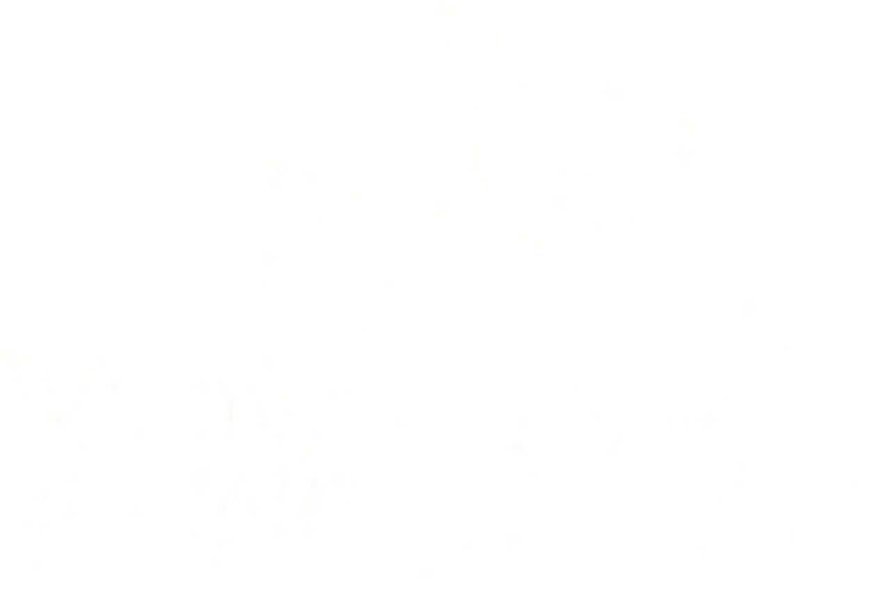 The Daring Young Man
