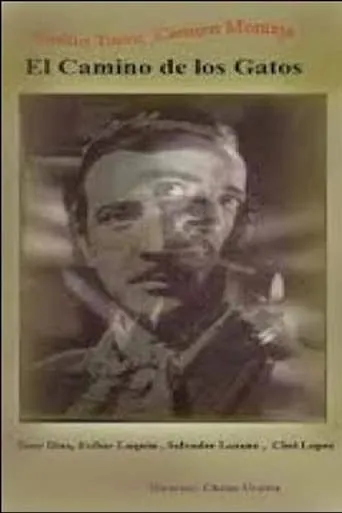 El camino de los gatos movie poster - Rated 5/10