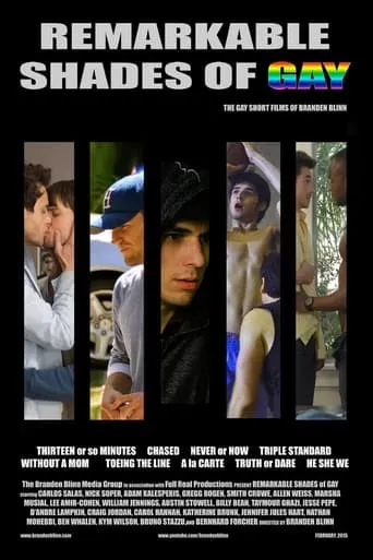 Remarkable Shades of Gay movie poster - Rated 5.2/10