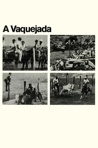 A Vaquejada movie poster - Entertainment content