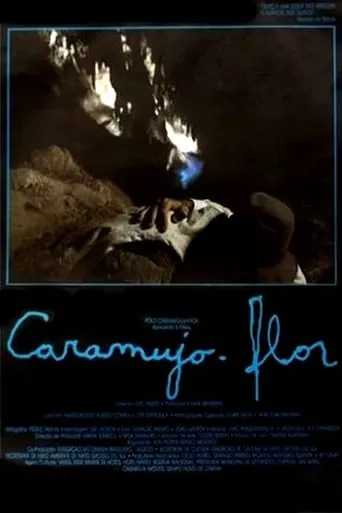 Caramujo-Flor movie poster - Rated 7/10