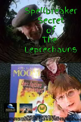 Spellbreaker: Secret of the Leprechauns movie poster - Rated 3/10
