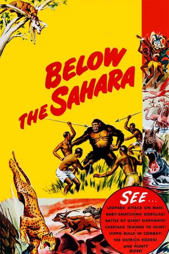 Below the Sahara movie poster - Rated 3.5/10