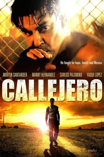 Callejero movie poster - Rated 7.5/10
