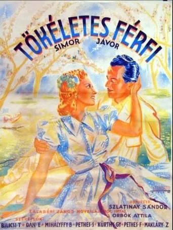 Tökéletes férfi movie poster - Entertainment content