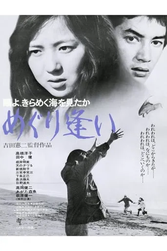 Oh Seagull, Have You Seen the Sparkling Ocean? An Encounter movie poster - Rated 5.2/10
