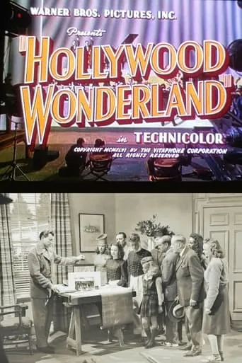 Hollywood Wonderland movie poster - Rated 6.7/10