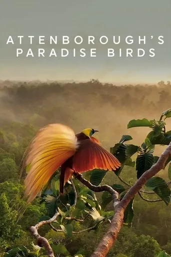 Attenborough's Paradise Birds movie poster - Rated 8/10