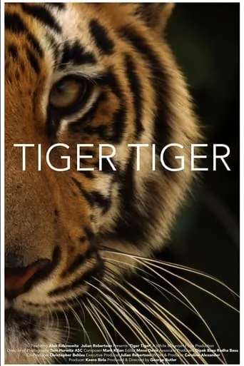 Tiger Tiger movie poster - Entertainment content