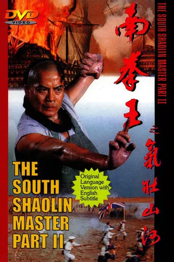 The South Shaolin Master Part II movie poster - Entertainment content