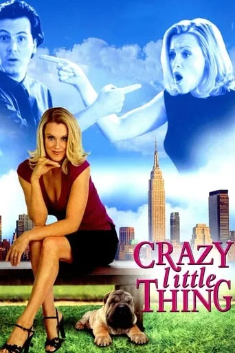 The Perfect You movie poster - Rated 5.3/10