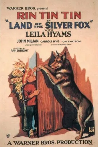 Land of the Silver Fox movie poster - Entertainment content