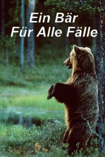 Ein Bär für alle Fälle movie poster - Entertainment content