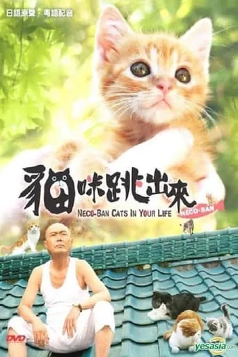 Neco-Ban: Cats in Your Life movie poster - Entertainment content