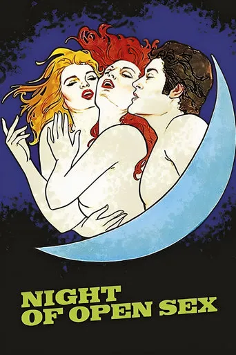 The Night Of Open Sex movie poster - Rated 4/10